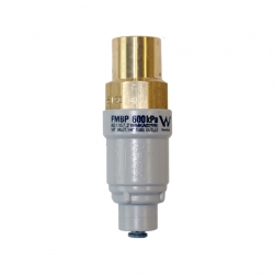 FMBP600, 600kPa 1/2" Inlet - 1/4" Outlet Genuine APEX Filtamate Brass Plastic Pressure Limiting Valve