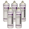 Everpure 2CB-GW Replacement Water Filter Cartridge EV9618-31