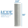 10 Inch Big Blue Housing with Presser Relief Button, 10 Micron CTO Carbon Block Filter