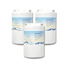 3x Eco Aqua EFF-6013A FOR GE MWF Fridge Water Filter (GWF HWF) Generic Replacement
