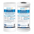 AQUA BLUE H20 Compatible with WH2 30 Replacement Water Filters Sediment PX05MP1, Carbon Block CB10MP1