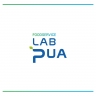 Lab Pua LPA-CS5-17 (5um carbon block & Scale inhibitor, 17″L