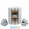 AQUA BLUE H20 HIGH OUTPUT LUXURY 6 STAGE SHOWER FILTER HIGH QUALITY SYSTEM