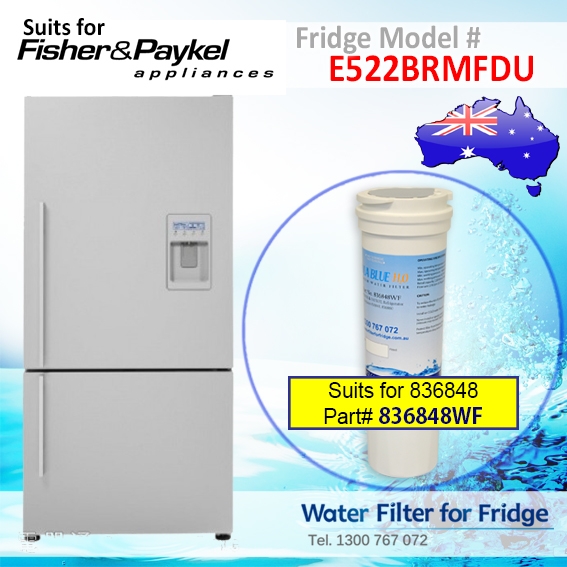 Fisher & Paykel E522BRMFDU Fridge Model 836848/13040210 Replacement Filter Part