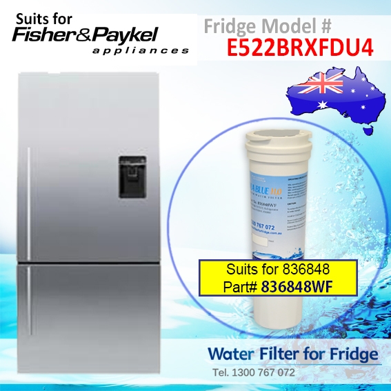 Fisher & Paykel E522BRXFDU4 Fridge Model 836848/13040210 Replacement Filter Part