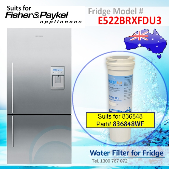 Fisher & Paykel E522BRXFDU3 Fridge Model 836848/13040210 Replacement Filter Part