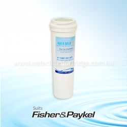 Fisher & Paykel ES22B Fridge Model 836848/13040210 Replacement Filter Part