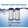 2x WF1CB / RG-100/ 1438545 / 218904501 WFCB Refrig. Filter Frigidaire Kenmore (Genuine Product)