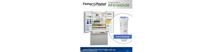 Fisher and Paykel  Fridge Model