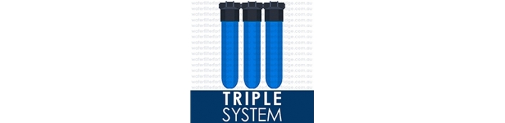 Triple System
